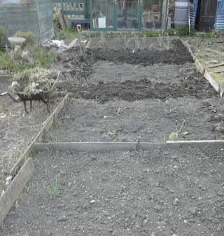 StevenNicholas8's profile picture. Singer songwriter producer solo artist and allotment enthusiast