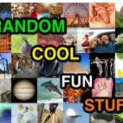RandomCoolFunSt's profile picture. Random Cool Fun Stuff is a site just for fun. Our posts may entertain, educate or make you laugh. All posts are made in good spirit.