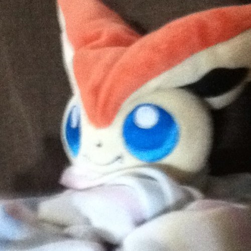 NegriDominic's profile picture. 