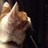 thayashi_1070