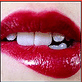 For Evrything Microsoft Online Store