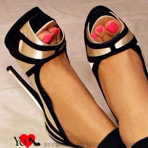 Complemento09's profile picture. 