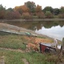 Ann Marie Redmond - @RedmondAnn - Twitter