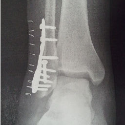 supersig511's profile picture. Father, Husband, Conservative.