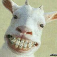 guyonGondes (@guyongondes) Twitter profile photo