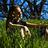 MelissaSchoon's profile image
