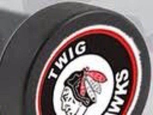 Twig. The greatest small town in america.
