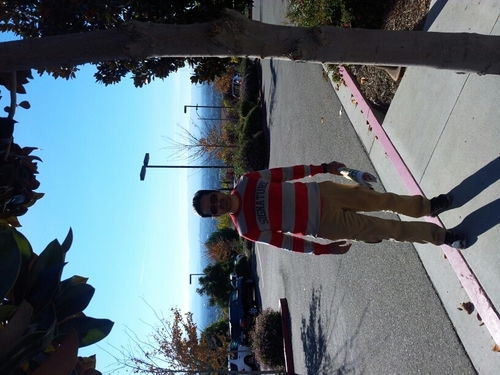 irajeshazad's profile picture. Software consultant