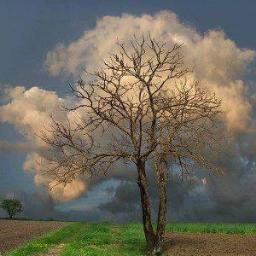 dana_stendek's profile picture. 