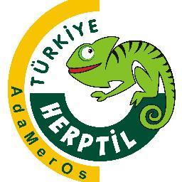 AdaMerOs Herptil Türkiye'nin TEMEL AMACI SEVGİ BAĞI OLUŞTURARAK DOĞA DEĞERLERİMİZİ DOĞALARINDA KORUNMASINI SAĞLAMAKTIR!
