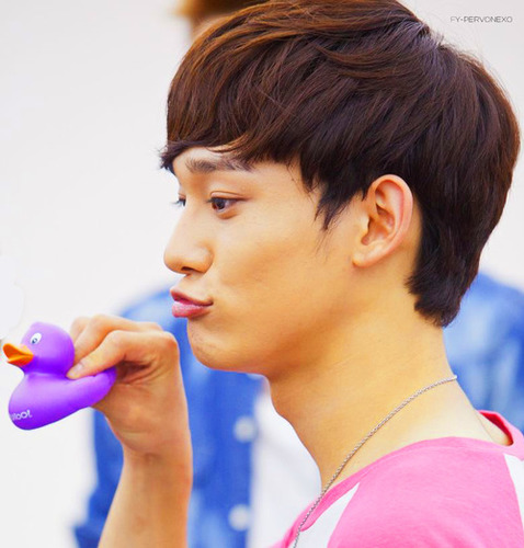 อันยอง ผมเฉินแห่งดาว EXO ผมเป็นนักร้องเสียงดี หน้าตาก็ดีด้วย ฮ่าๆๆ ผมเป็นคนอารมณ์ดี ดี...ดีจนบ้าเลยหล่ะ My Fam : _EXOB0T