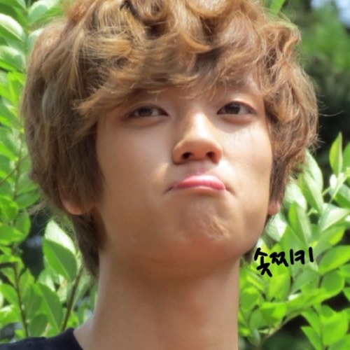 franklyniel's profile picture. 