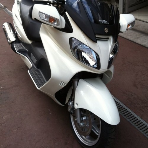 NiceBurgman650's profile picture. 