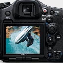 CameraDawg's profile picture. I take photos because I enjoy it. I travel because there's so much to see. I am a hobbyist turned professional photographer, follow me, I follow back.