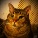 Doug Grove - @BeathanConfed - Twitter