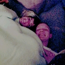 Alex DeWitt - @dewittstheshit - Twitter