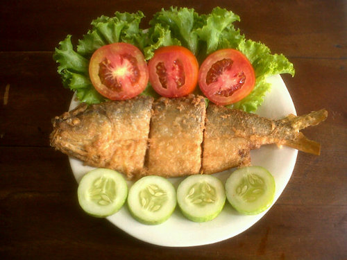 pakgendud's profile picture. produksi bandeng presto... Order @pakgendud ato phone 081321462211 (misscall ku balas misscall #piss :D ) pin:56E721CB