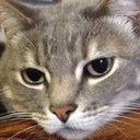 Will - @WilliamWilhite1 - Twitter