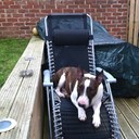 joanne north - @lovelyjojo75 - Twitter