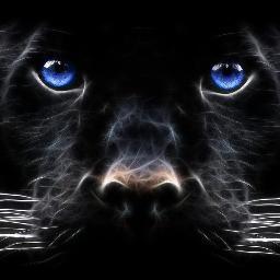 Depeche_paps's profile picture. http://t.co/klFq5thYBB