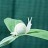 shui_shui's profile image
