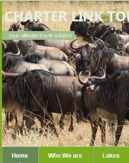 Charterlinkenya's profile picture. Travel and Leisure