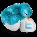 Polly Willis - @PollyWillis10 - Twitter