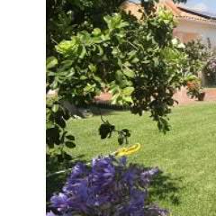 sadmannotontwit's profile picture. West Coast and Silver Coast Property for Sale by Owner