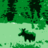 elusive_moose