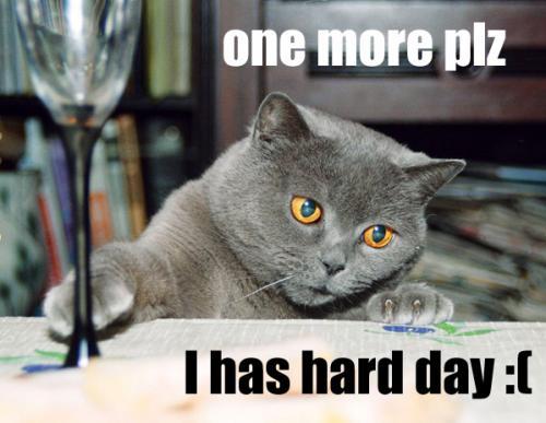 I haz no drinkin' problum,
