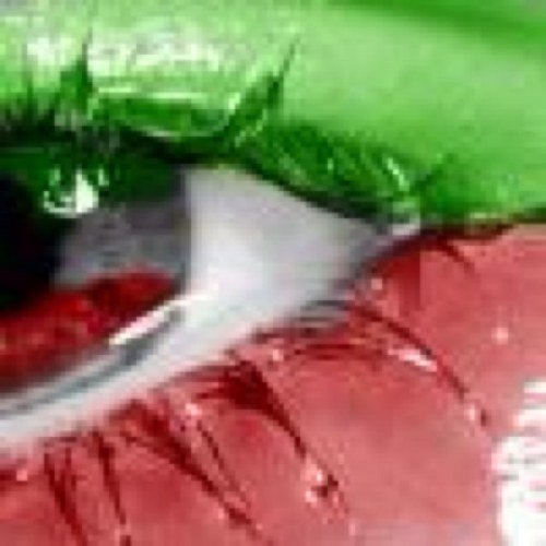 اللهم إنے استودعگ الكويت فاحفظہا ۾ن كل شر وفتنه. فلو=فلو