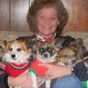 Marie Costello - @gizzieboo - Twitter