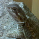 Ellis Gaunt - @ElsBells16 - Twitter