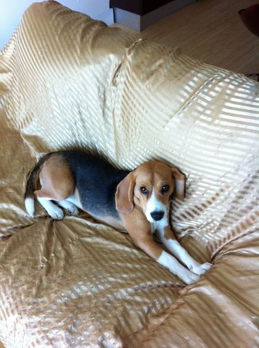 army1961's profile picture. 