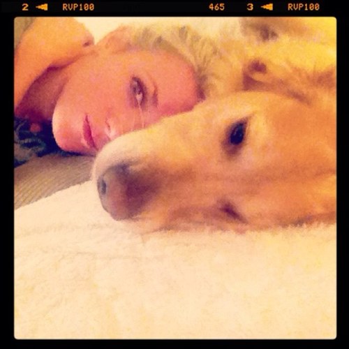 mrskatewood's profile picture. Wife to @n1ckwood • Mummy to Oscar, Alice & Effie • Golden Retriever called Phoenix • Owner of https://t.co/yn3dxof2ME