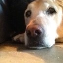 Liz Field - @lizeexx3 - Twitter