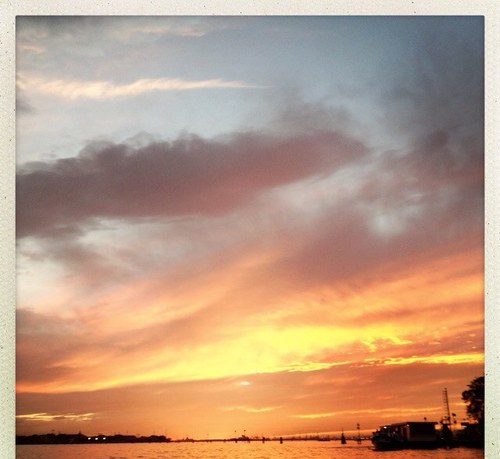 fionabiggiero's profile picture. 