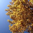 Daniel  Ludwick - @rekindledheart2 - Twitter