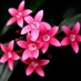 Ma Paula Martinez (@mapmartinezc) Twitter profile photo