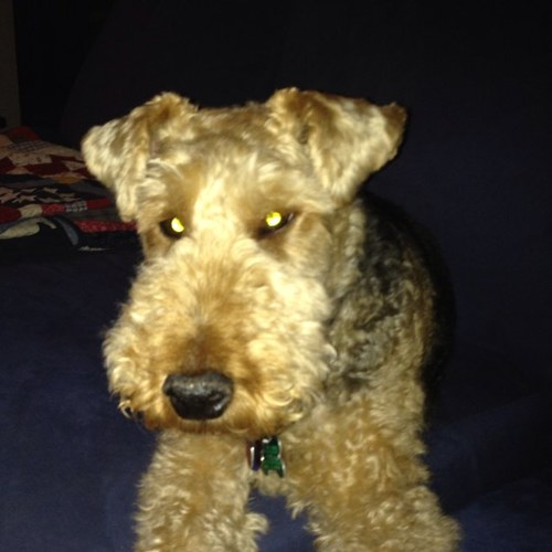 palatinepatty's profile picture. 