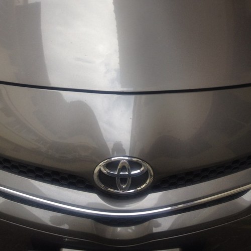 tuannick's profile picture. 