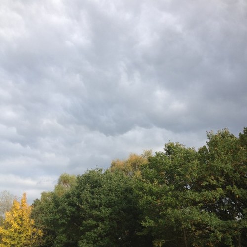 dannyjleach's profile picture. 