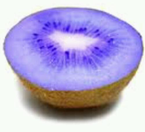 TheBlueKiwi Profile Picture