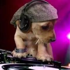 carlosericknuez's profile picture. 