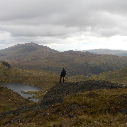 TradingPhoenix2's profile picture. Family Man, Trader & Investor of major markets and Cryptocurrancy at The Trading Phoenix