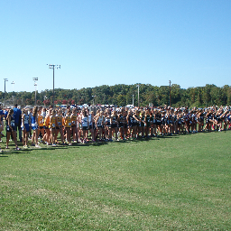 LiveLikeARunner's profile picture. Never give less than your best