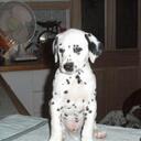 Rob Regan - @ozdoodus - Twitter