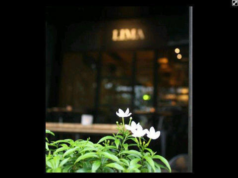 Come over and visit LIMA at Gold Coast #A-5 Pantai Indah Kapuk!