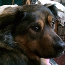 Sebastian Failla Jr. - @sebastianfailla - Twitter