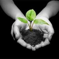 naturopsico's profile picture. je suis passionner de médecine douce, naturopathie, nature, sport... Je tweet pour vous des infos sur la santé, nature, actualité ainsi que sur l'écologie.